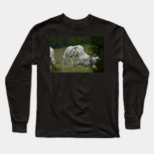 Wild Horses Long Sleeve T-Shirt